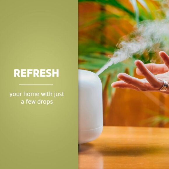 De La Cruz Eucalyptus Essential Oil, 2FL OZ - 59ML - - Picture 4 of 9